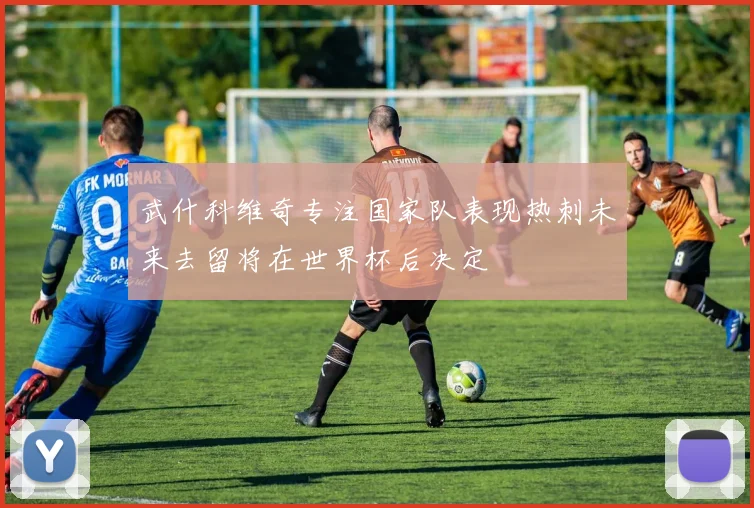 武什科维奇专注国家队表现热刺未来去留将在世界杯后决定