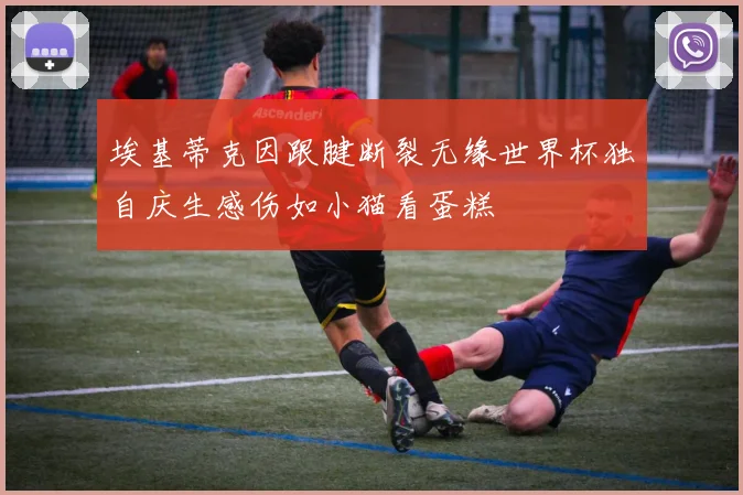 埃基蒂克因跟腱断裂无缘世界杯独自庆生感伤如小猫看蛋糕